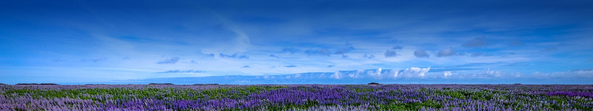 马鞍山卧龙山陵园